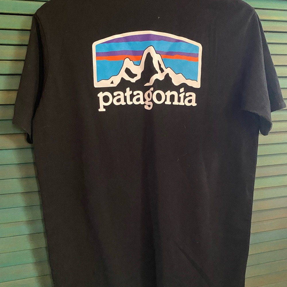 Patagonia Black Graphic T-Shirt for Men